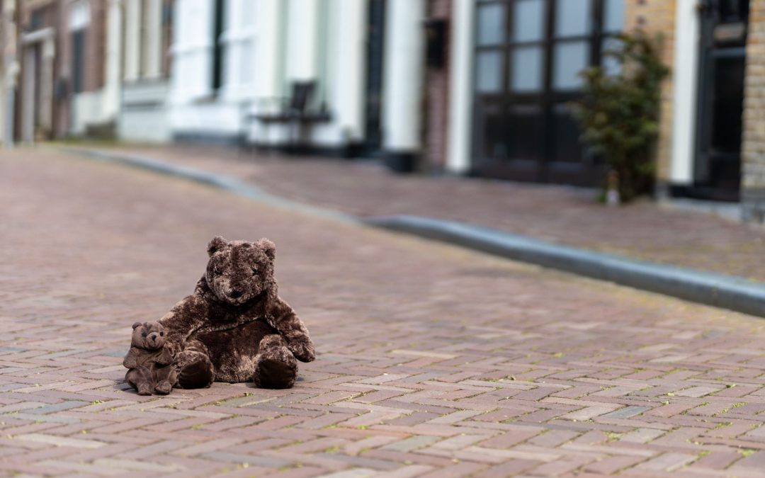 En dan opeens zijn ze er, die beren op de weg